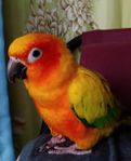 IMG_20181001_160234.jpg
