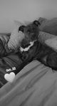 IMG_20201231_214330.jpg