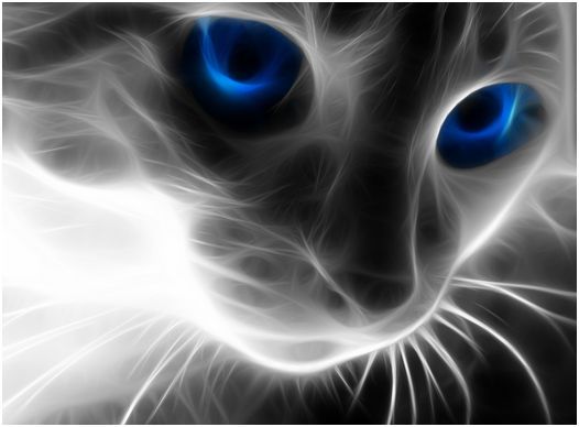 Blue Eyes.jpg