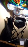 Resized_20201230_110154.jpeg