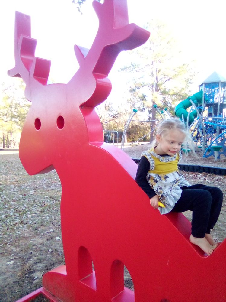 IMG_20201204_155547_9.jpg