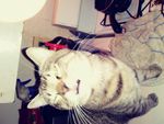 20171012_001953_Film1.jpg