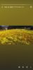 Screenshot_20210218-113952_Photos.jpg