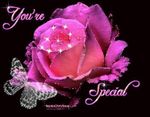 41614de7c5b19abbff79fa874a92cd26--special-friend-quotes-quote-friends.jpg