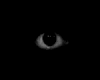 Randimaxis_Eye-vi.gif