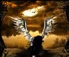 Fallen_Angel_by_VixRayne.jpg