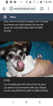 Screenshot_20201212-134520.png