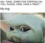 3C0D0782-8013-4CA4-9CA3-D8B34A5C5ACD.jpeg