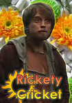 Profil (RicketyCricket)