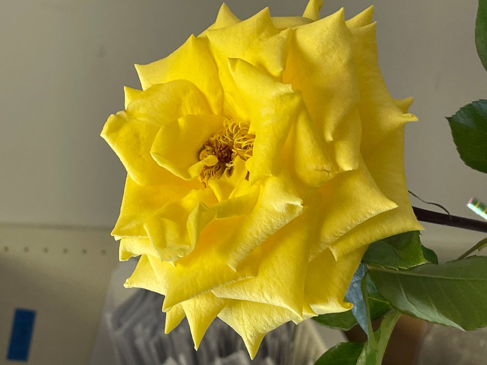 EE70D221-03AA-419A-9F53-BF0534B43D0C.jpeg