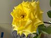 EE70D221-03AA-419A-9F53-BF0534B43D0C.jpeg