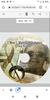 CD Album Cover.png