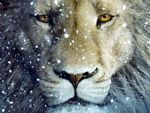 Aslan - Narnia lion.jpg