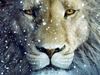 Aslan - Narnia lion.jpg