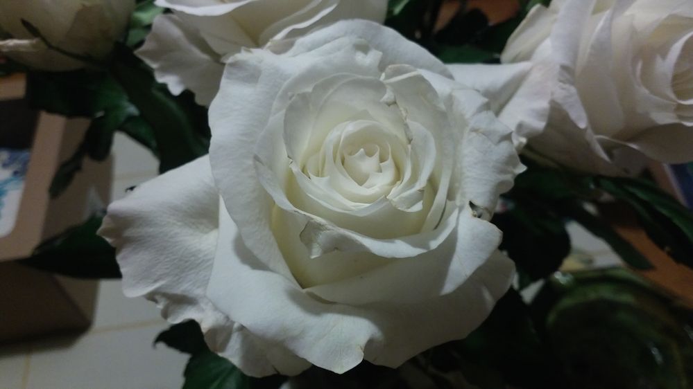 20181003_225633.jpg
