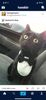 received_2652626288198717.jpeg