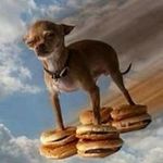 hamburgor.jpg