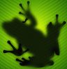 Frog.jpg