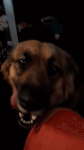 20201013_083613_1.gif