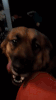 20201013_083613_1.gif