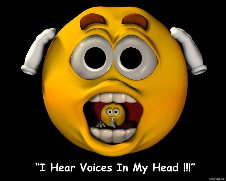I Hear Voices In My Head!!!.jpg