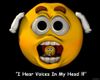 I Hear Voices In My Head!!!.jpg