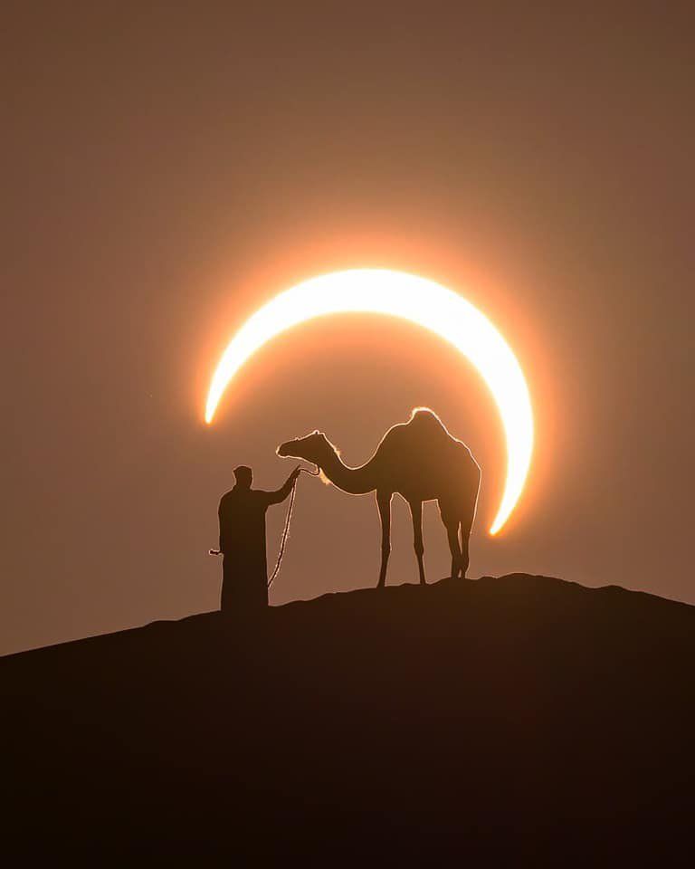 camel-and-moon.jpeg