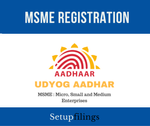 MSME Registration_Setupfilings.png