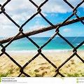 beach fence.jpg