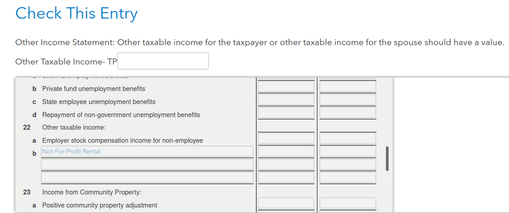 check_this_entry_Other_Taxable_Income.png