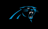 Carolina-Panthers-logo-cover-958x575.png