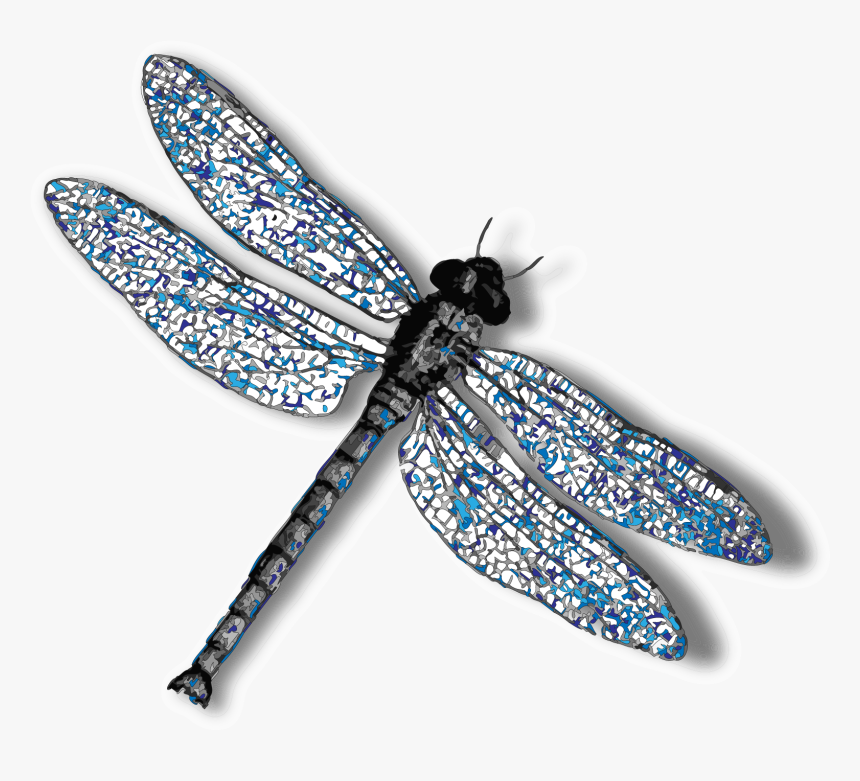 dragonfly.png