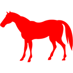 horse-4-xxl.png