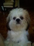 Profil (Granddaddy-13)