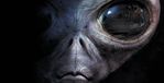 Profil (rBirlsonjr)