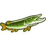 Profil (gonefishingwi)