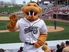 FangWisconsinTimberRattlersMascot.jpg