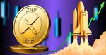 Profil (rwgXRP)