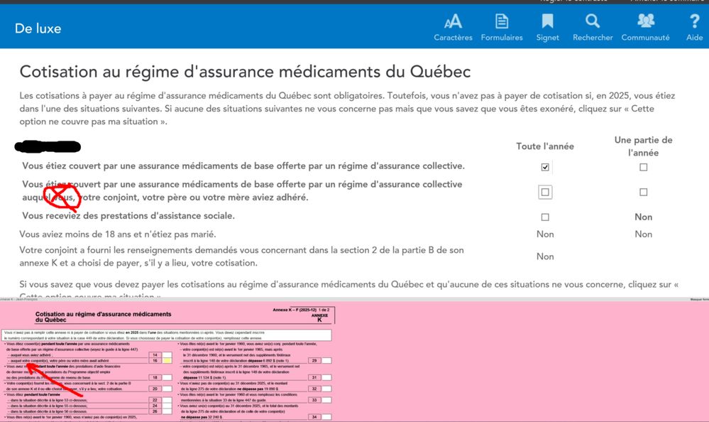 Turboimpot 2025 erreur.jpg