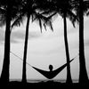 new-hammock.jpg